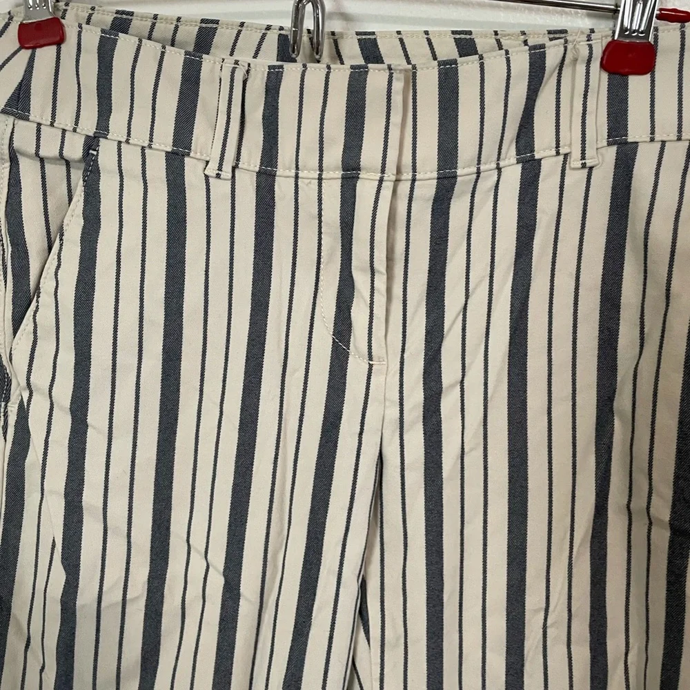 Loft striped pants